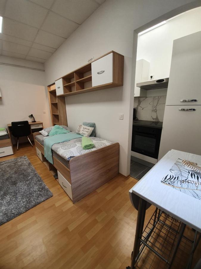 Maribor City Center Minidorm Apartment Esterno foto